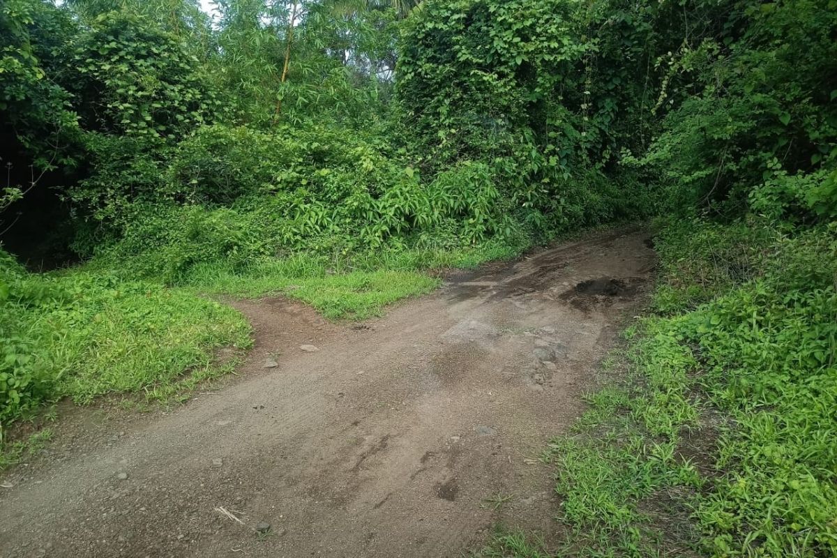 12-acre-land-for-sale-in-alibaug