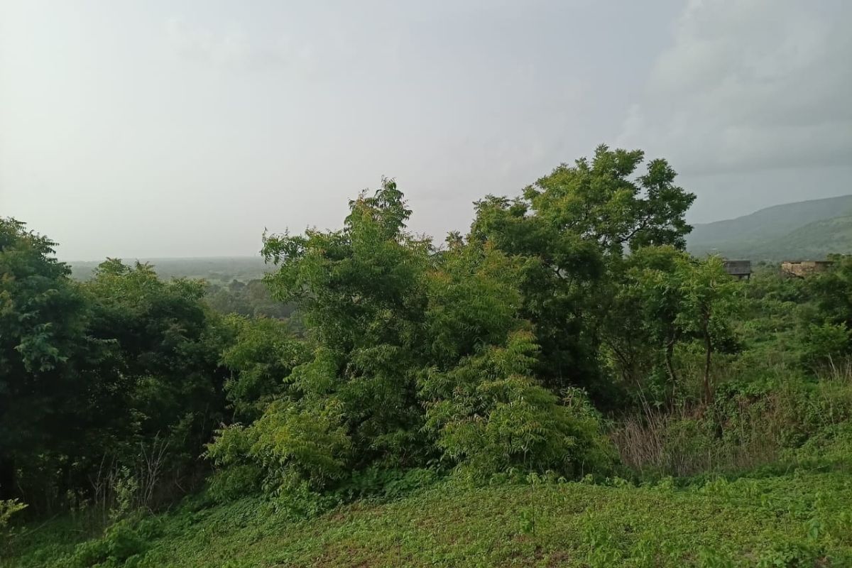 13.5-acre-plot-for-sale-at-munawali