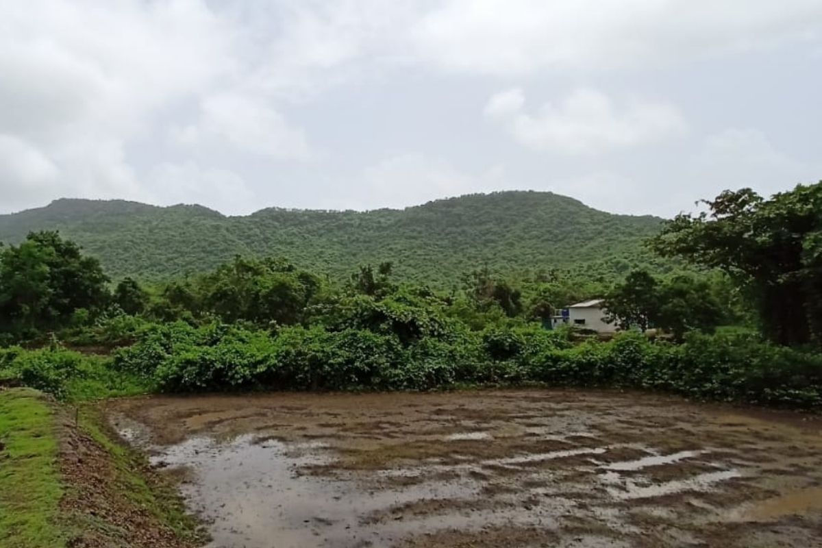 agricultural-land-for-sale-in-alibaug-15-acre