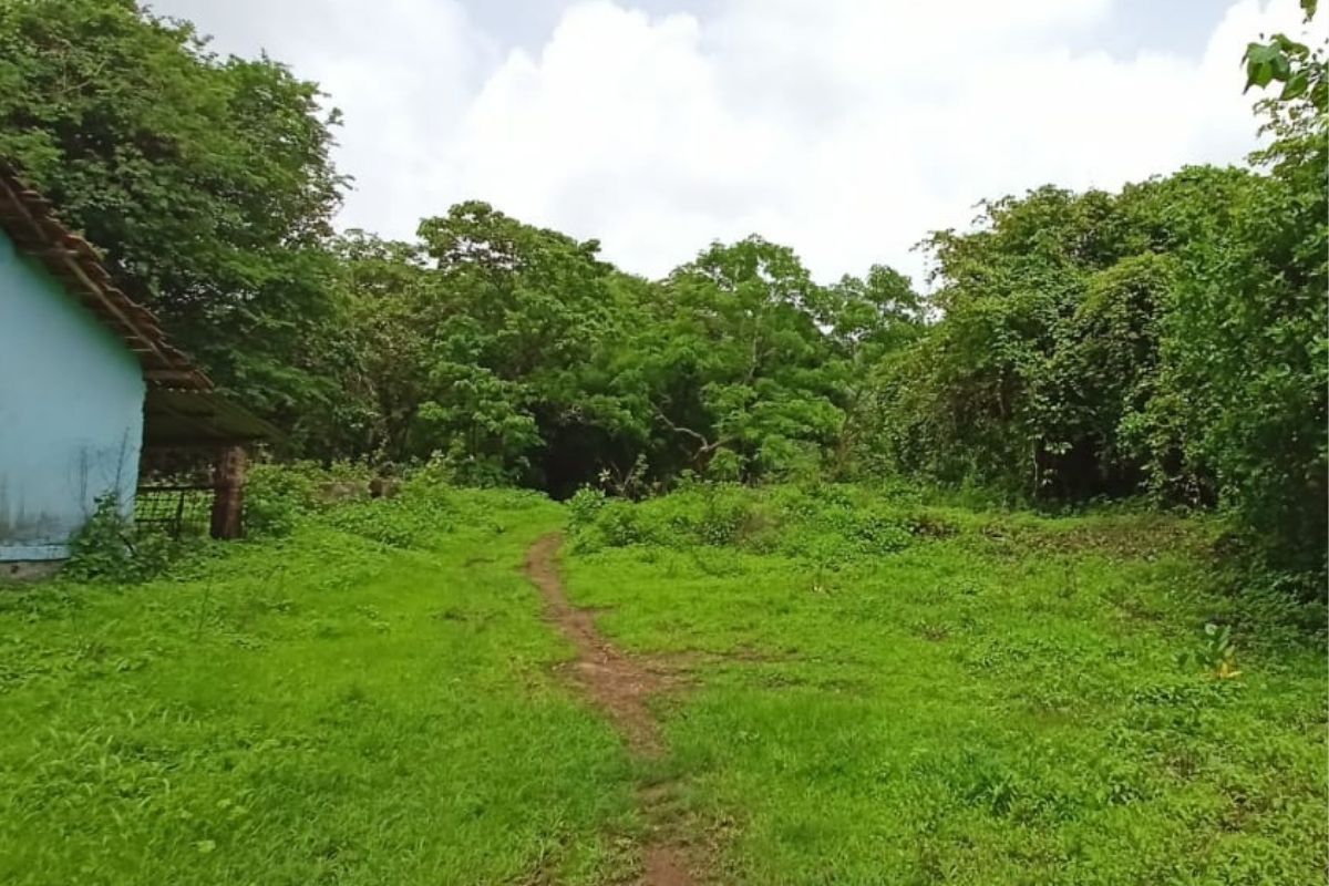 Land-for-sale-at-alibaug-15-acre 