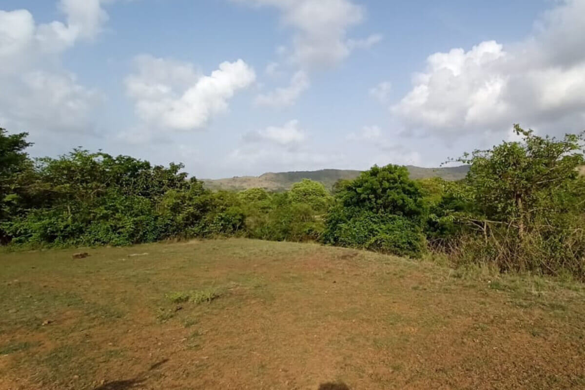 sea-facing-property-for-sale-in-alibaug