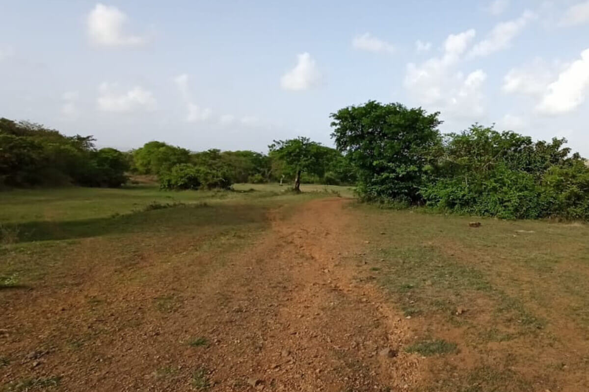 sea-facing-land-for-sale-in-alibaug-saral