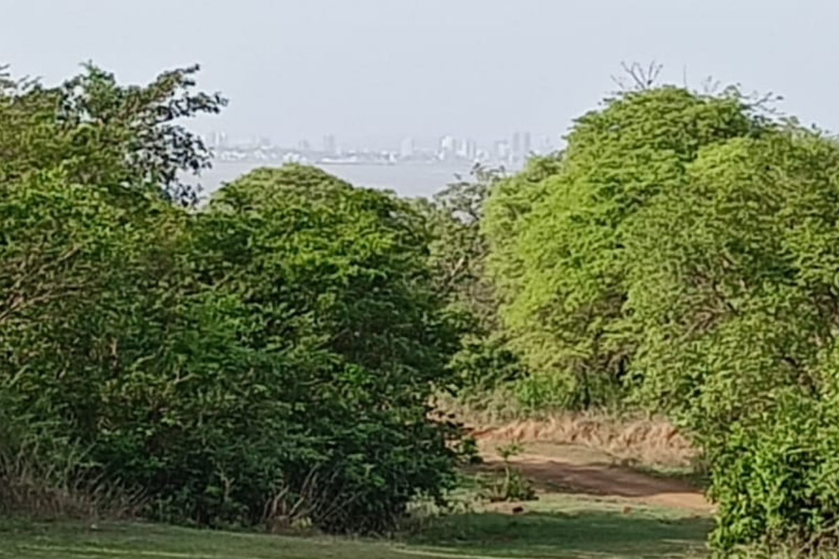 17-acre-land-for-sale-in-alibaug