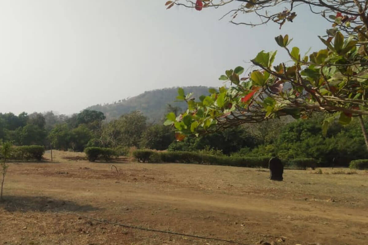 27-Guntha-land-for-sale-in-alibaug-Chendhare