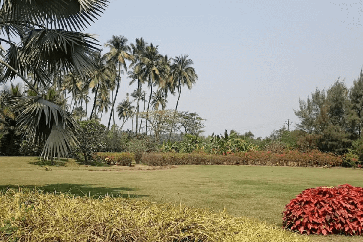 4.5-Acre-land-for-sale-at-thal-alibaug