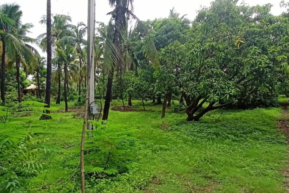 agricultural-land-for-sale-in-alibaug-7-acre