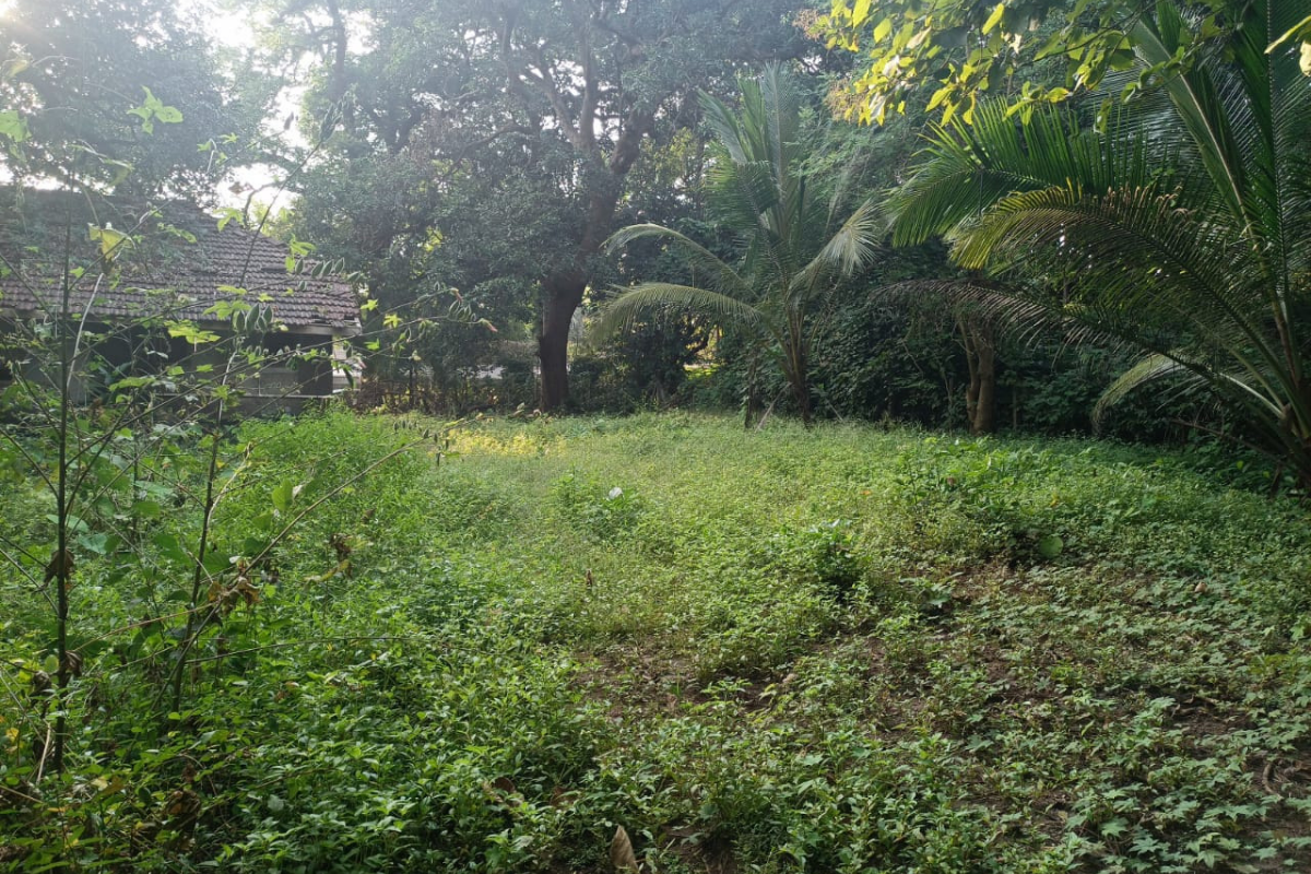 beach-property-for-sale-in-alibaug