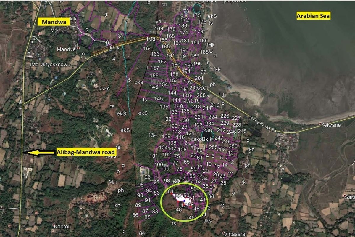 53-guntha-plot-satellite-view-property-mark