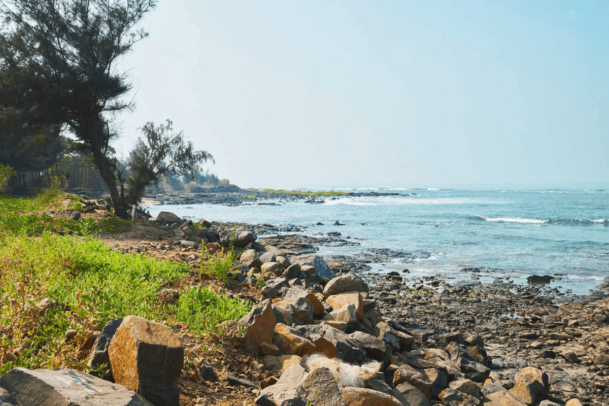 Sea-touch-land-for-sale-in-alibaug