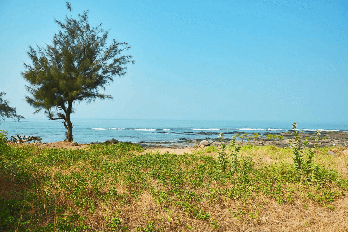 Sea-touch-land-for-sale-in-alibaug-3