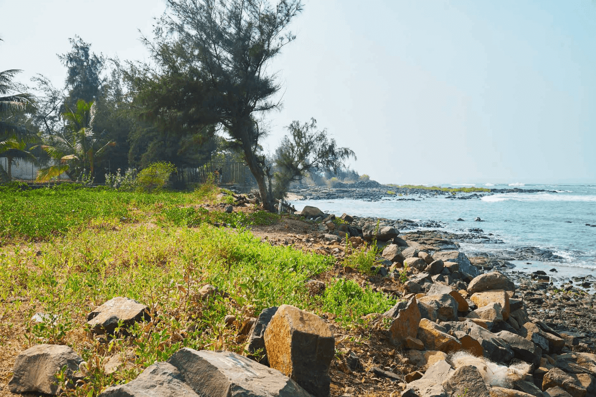 Sea-touch-land-for-sale-in-alibaug-5